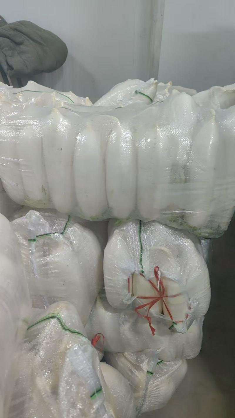 大量供应精品水洗，电商平台超市档口一手货源