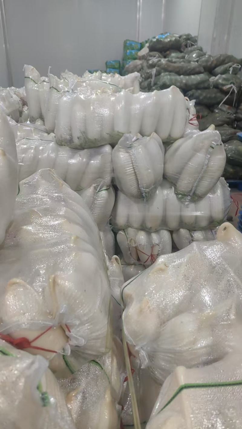 大量供应精品水洗，电商平台超市档口一手货源