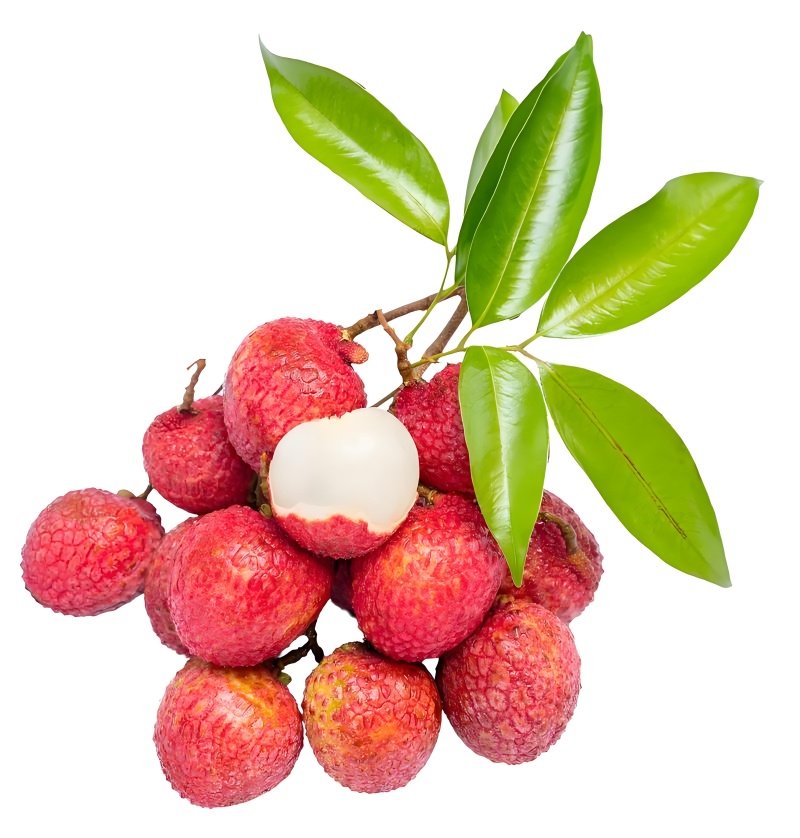 广东栛枝.，桂味，糯米糍。