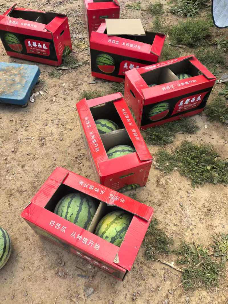 山西麒麟西瓜大量供应产地直发量大从优欢迎来电