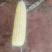 甜玉米，水果玉米