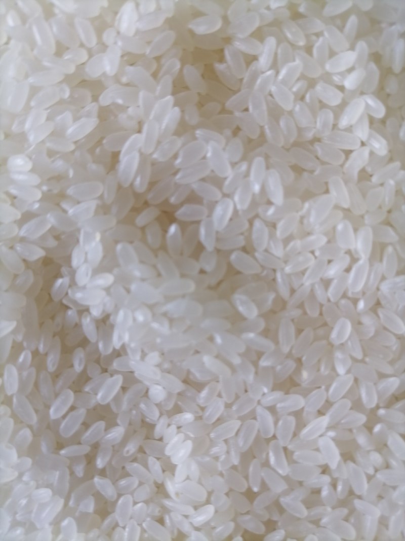 2年陈大米，适合做米粉河粉，米线，50公斤装，国标米