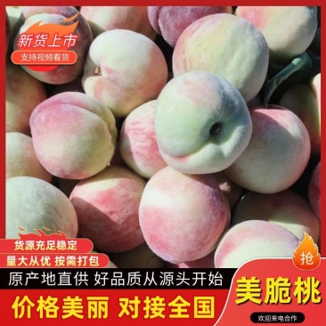 【优质推荐】美脆桃大量上市可对接商超市场价格美丽