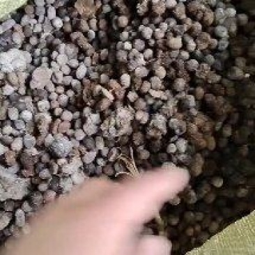 羊粪蛋，发酵羊粪，散装，袋装常年供应