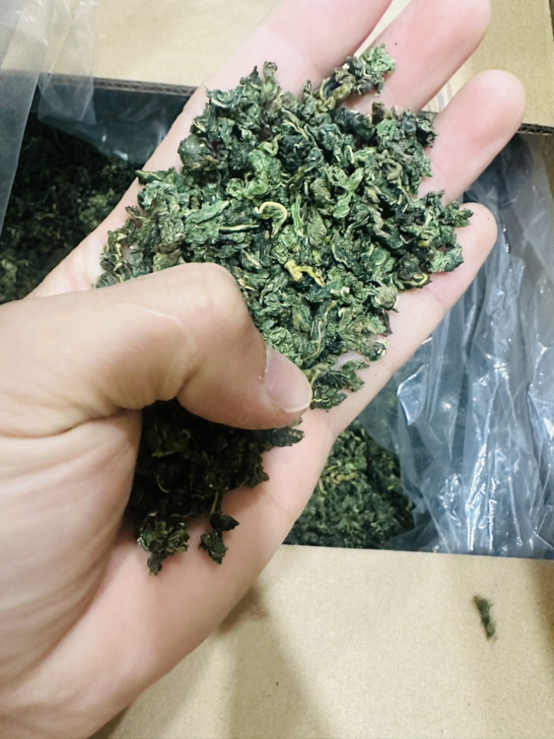桑叶颗粒2025年桑叶茶颗粒山东桑叶茶加工厂