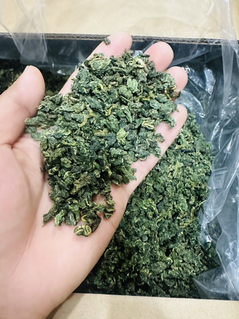 桑叶颗粒2025年桑叶茶颗粒山东桑叶茶加工厂