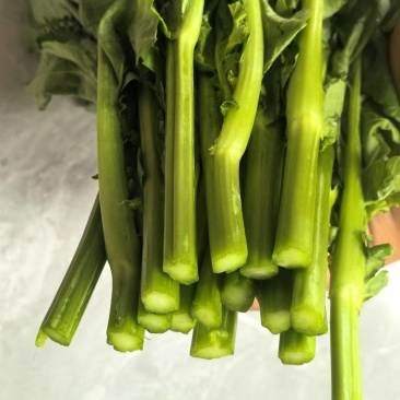 板蓝根青菜