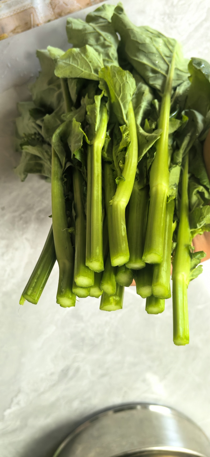 板蓝根青菜