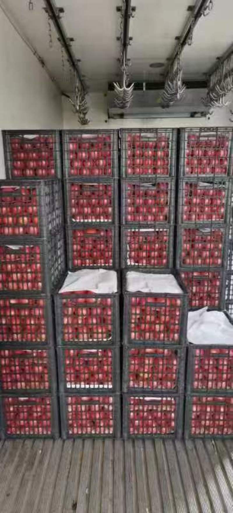 大量供应精品西红柿，产地直发，欢迎各位老板下单