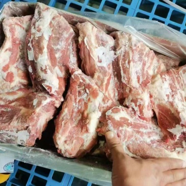 特级母猪胫骨