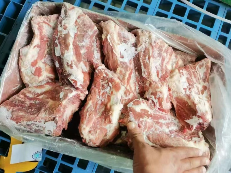 特级母猪胫骨