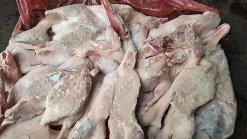 三级白条鸭