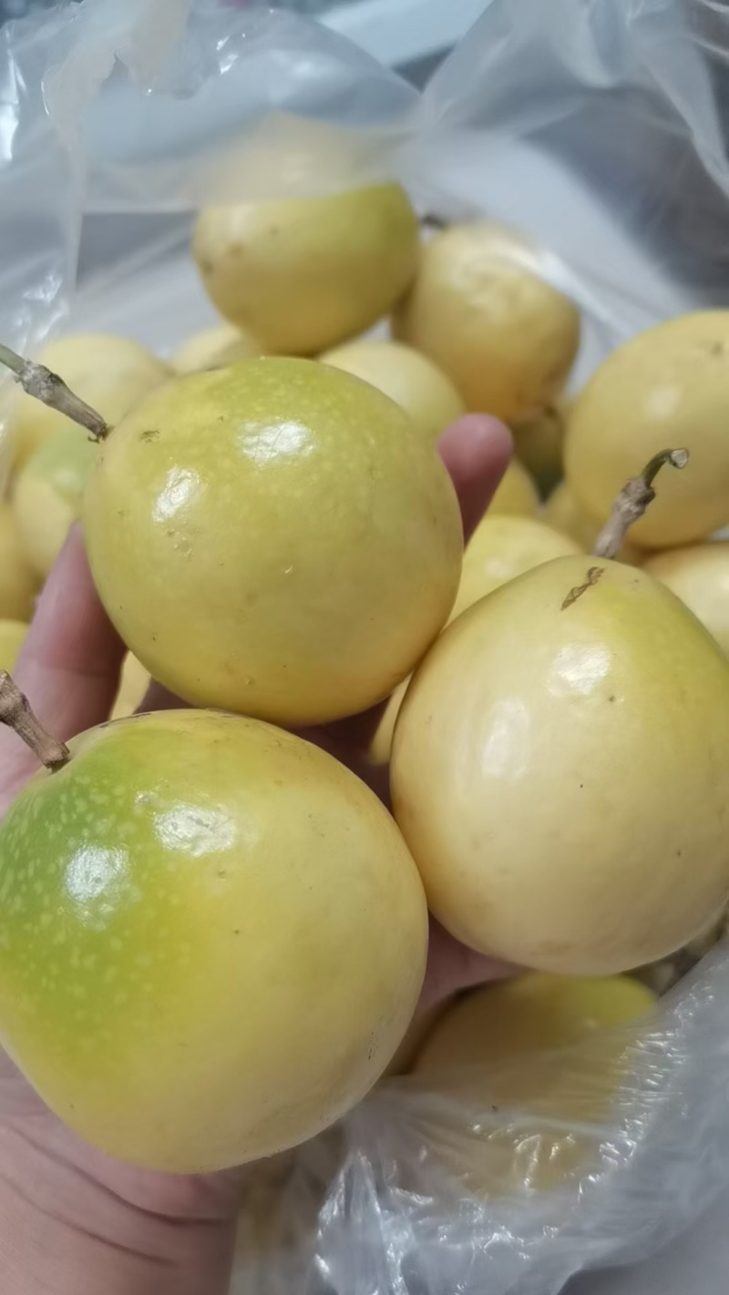 百香果