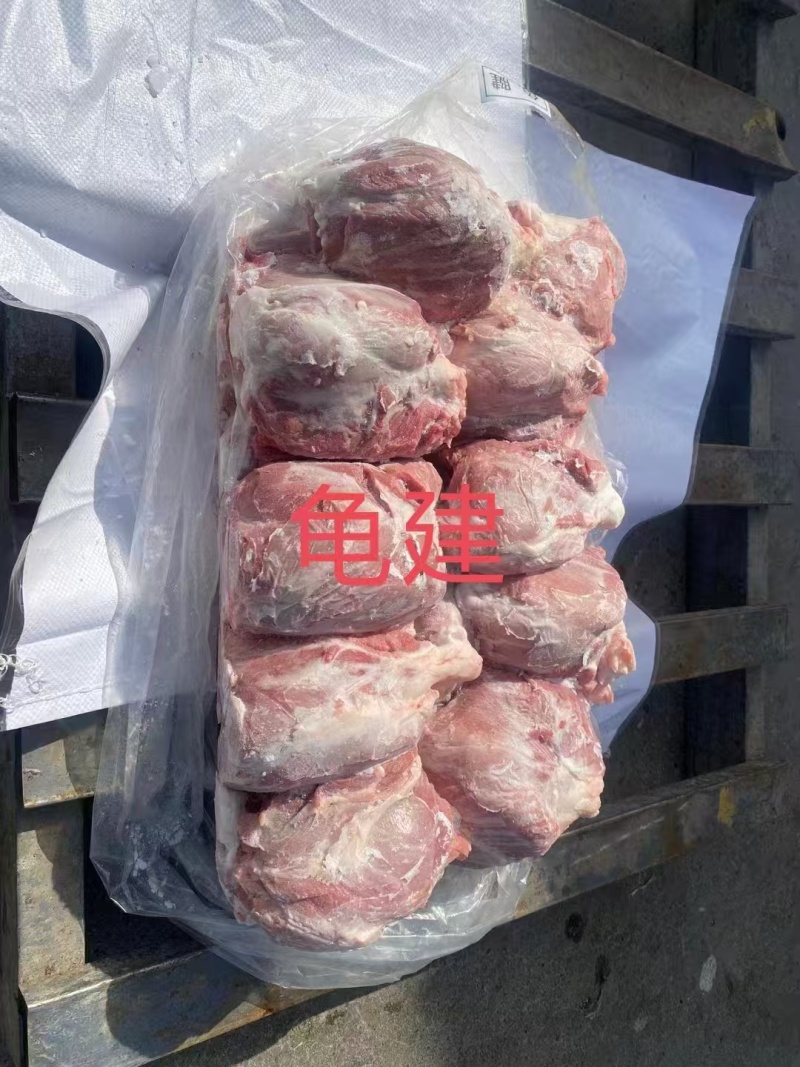 母猪龟腱
