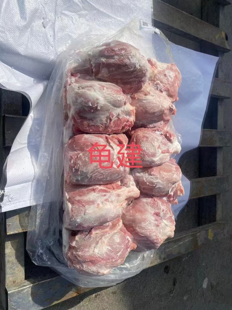 母猪龟腱