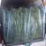 精品长豆角，青条豆角产地直发，量大从优诚信经营可发货