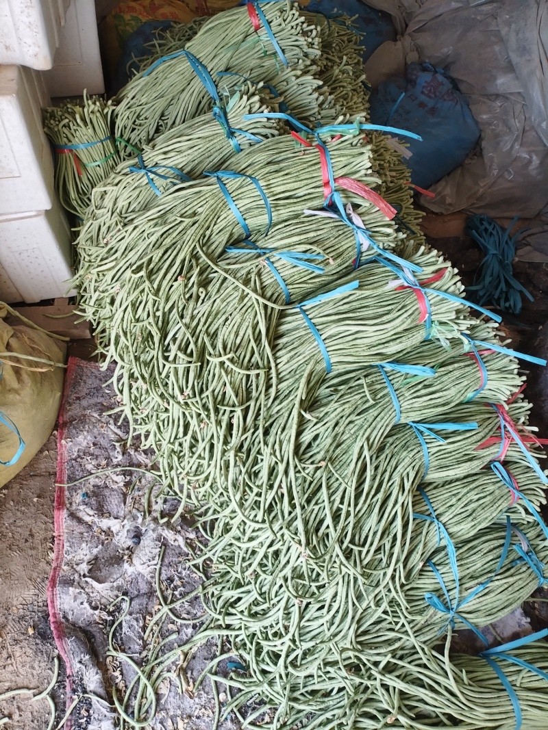 精品长豆角，青条豆角产地直发，量大从优诚信经营可发货