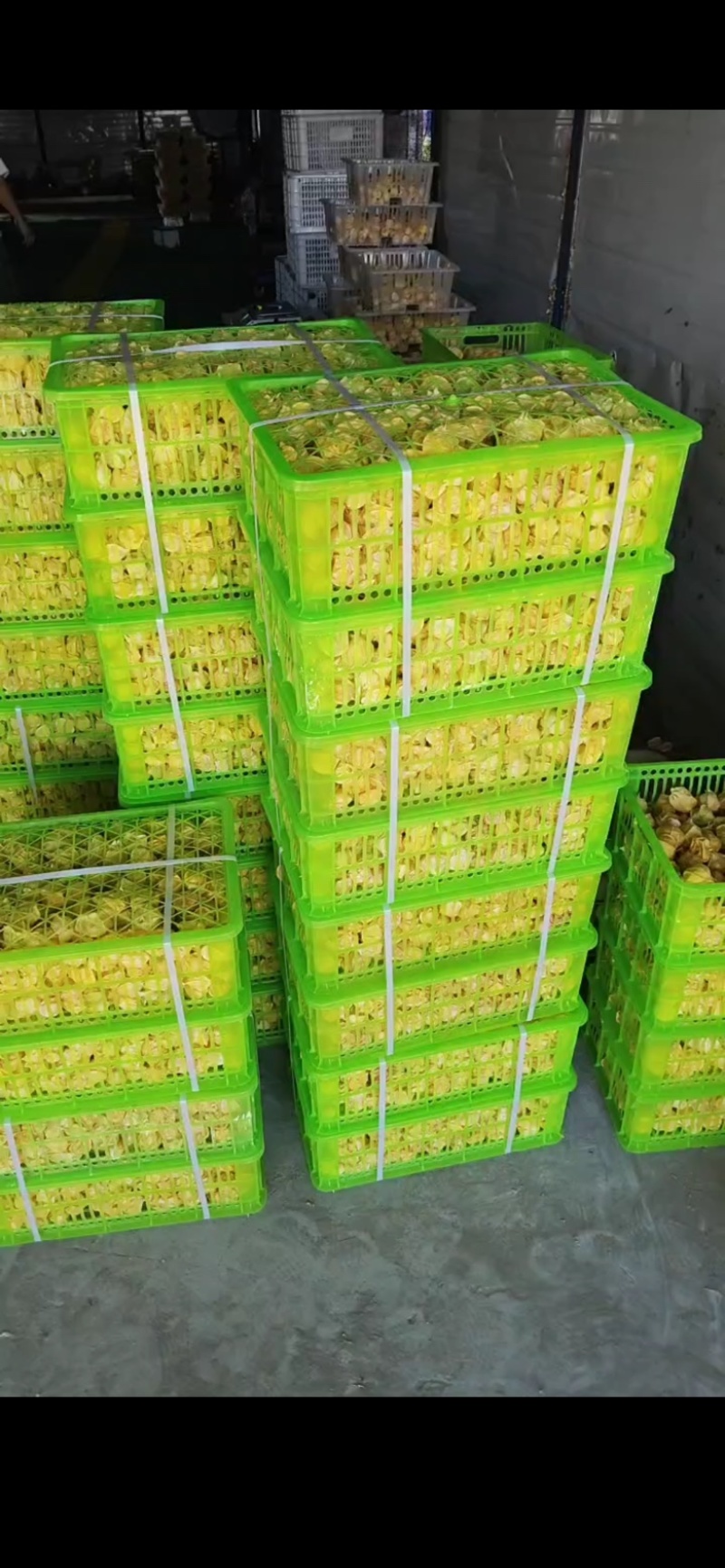 云南姑娘果新鲜现货灯笼果纯甜无酸，香甜可口一件代发