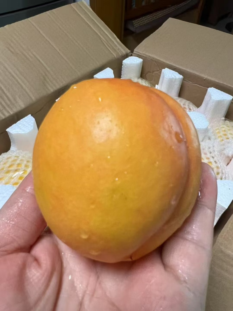 山东黄金油桃对接电商代发整车