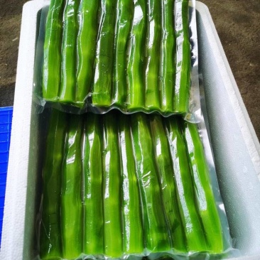 兰陵莴笋肉去皮莴笋净莴笋产地直供货源充足