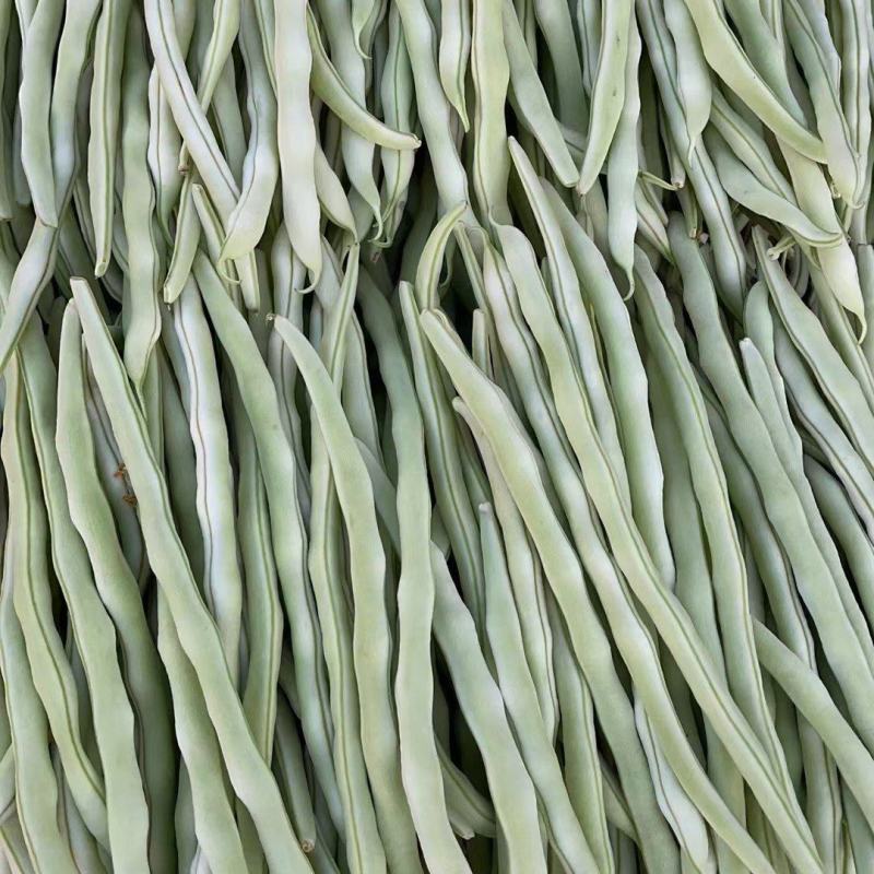 大量供应精品王中王白肉豆，产地直发，欢迎各位老板下单