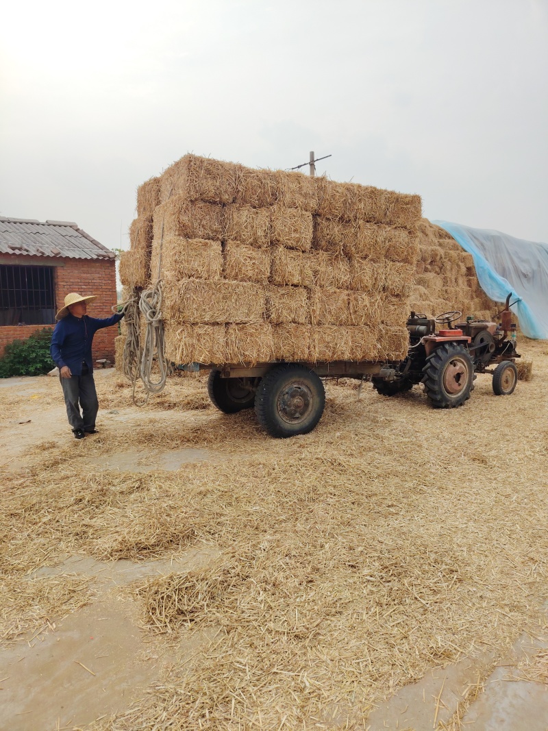 小麦秸秆原料