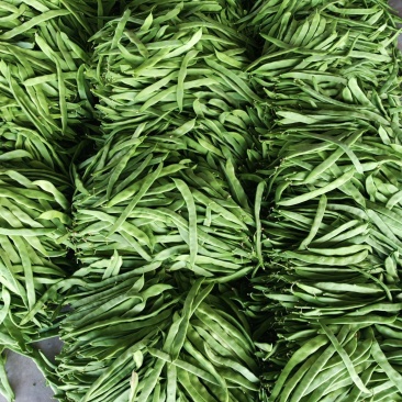 扁豆角大量上市