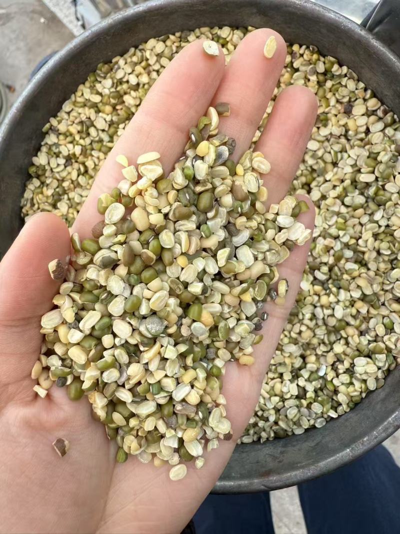 精品绿豆货源充足量大从优质量保证诚信经营欢迎咨询