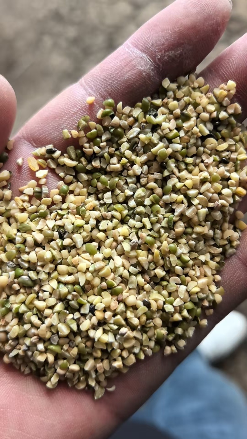 精品绿豆货源充足量大从优质量保证诚信经营欢迎咨询
