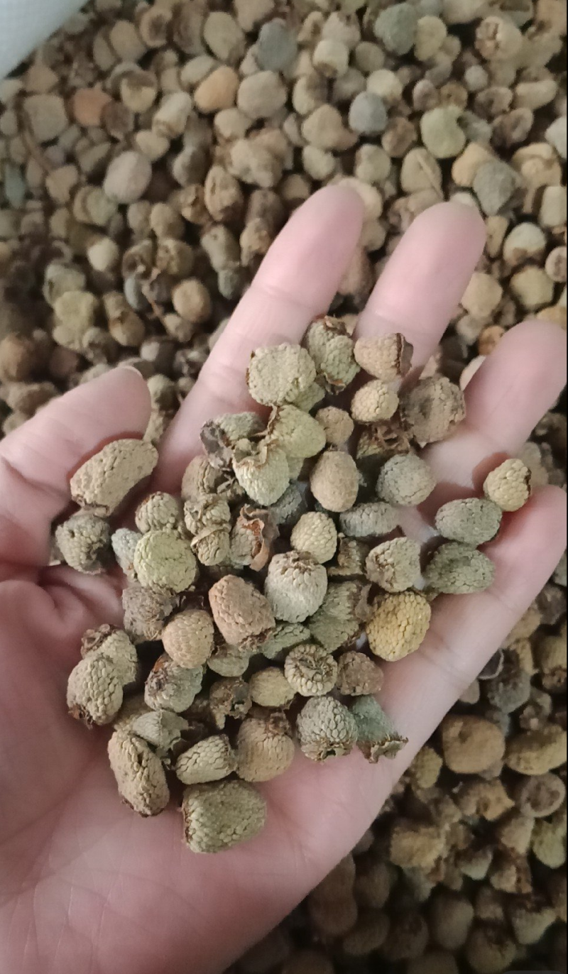 復盆子精品统货价格可选质量和售后我来保证有需要的下单就可