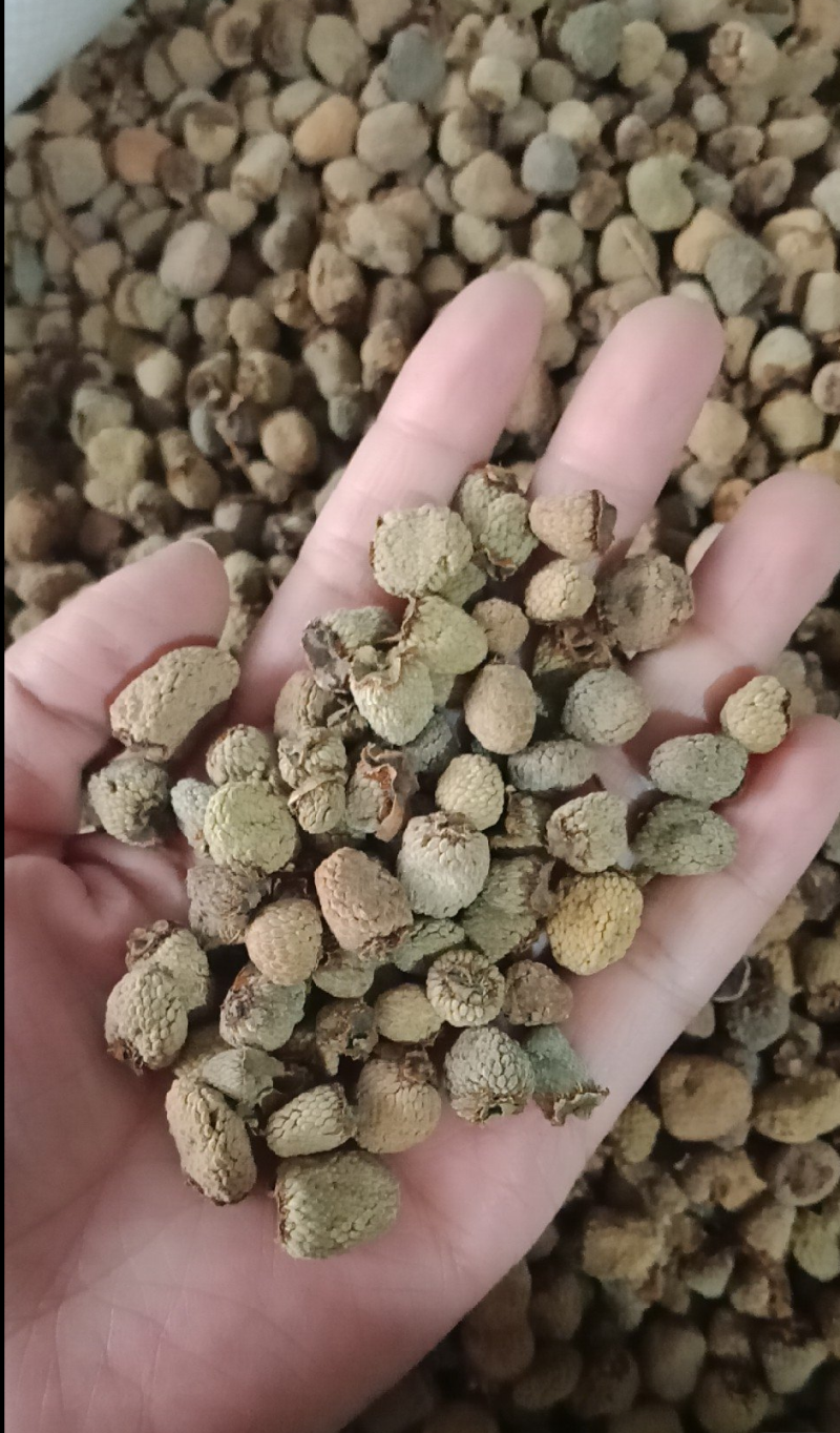 復盆子精品统货价格可选质量和售后我来保证有需要的下单就可