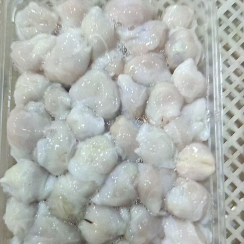 鱿鱼嘴厂家直销，价格实惠，保品质
