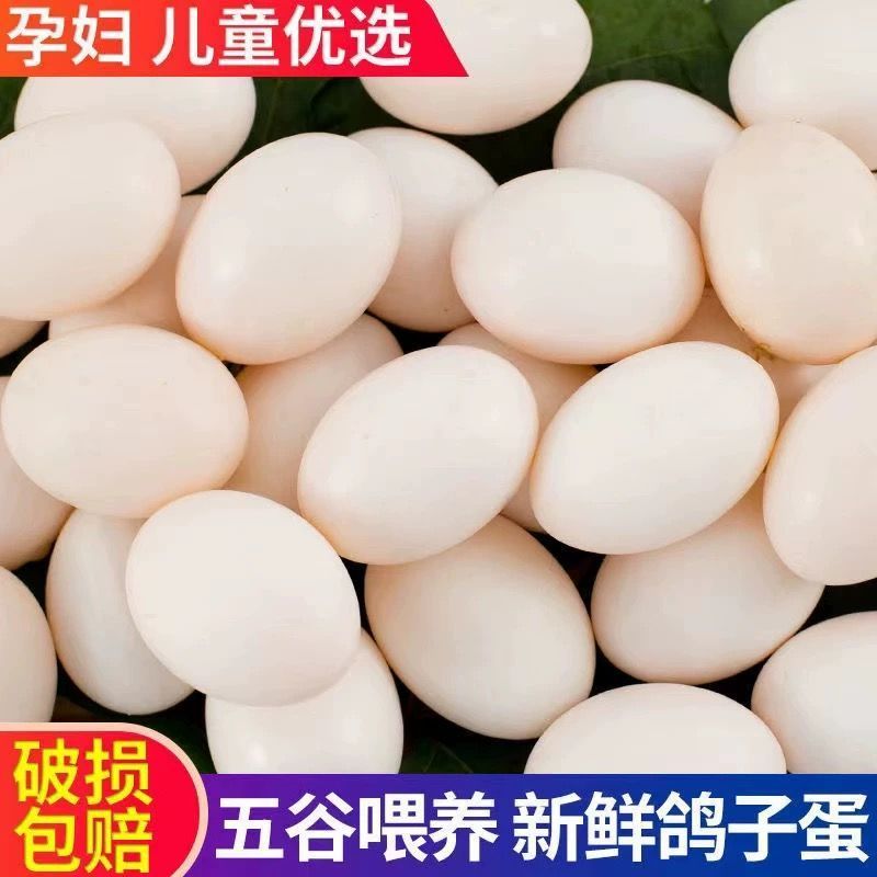 鸽子蛋新鲜白信鸽初生蛋农家五谷杂粮散养支持全国发货