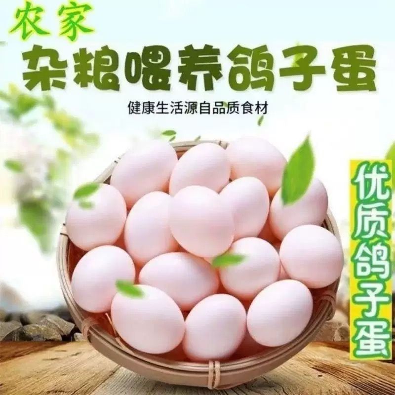 鸽子蛋新鲜白信鸽初生蛋农家五谷杂粮散养支持全国发货
