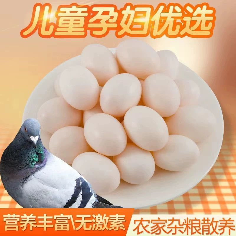 鸽子蛋新鲜白信鸽初生蛋农家五谷杂粮散养支持全国发货