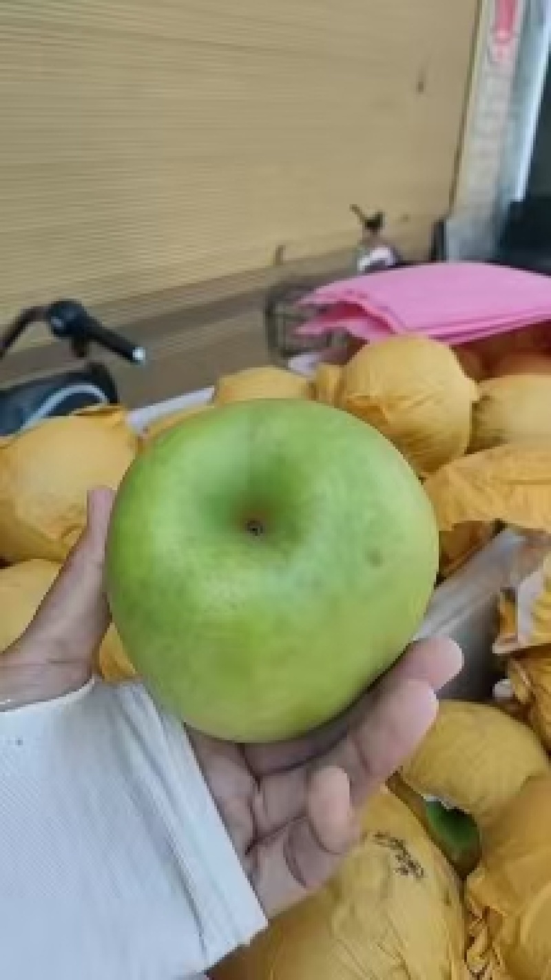 酥脆一号梨，翠玉，翠冠梨，皇冠梨，直供产地，保质保量