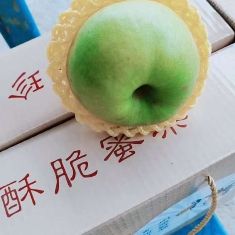 梨，酥脆一号，皇冠梨等各种梨产地，保质保量，货源充足