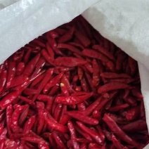 精品三樱椒