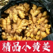 主营—【电商货/市场货】精品姜巴/沙土姜/水洗姜/风干姜