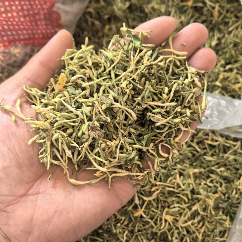 秦岭野生金银花