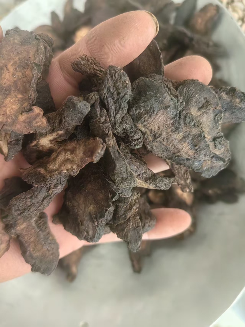 《地黄》江西生地黄/生地/中药材两斤起售耐运输发货快