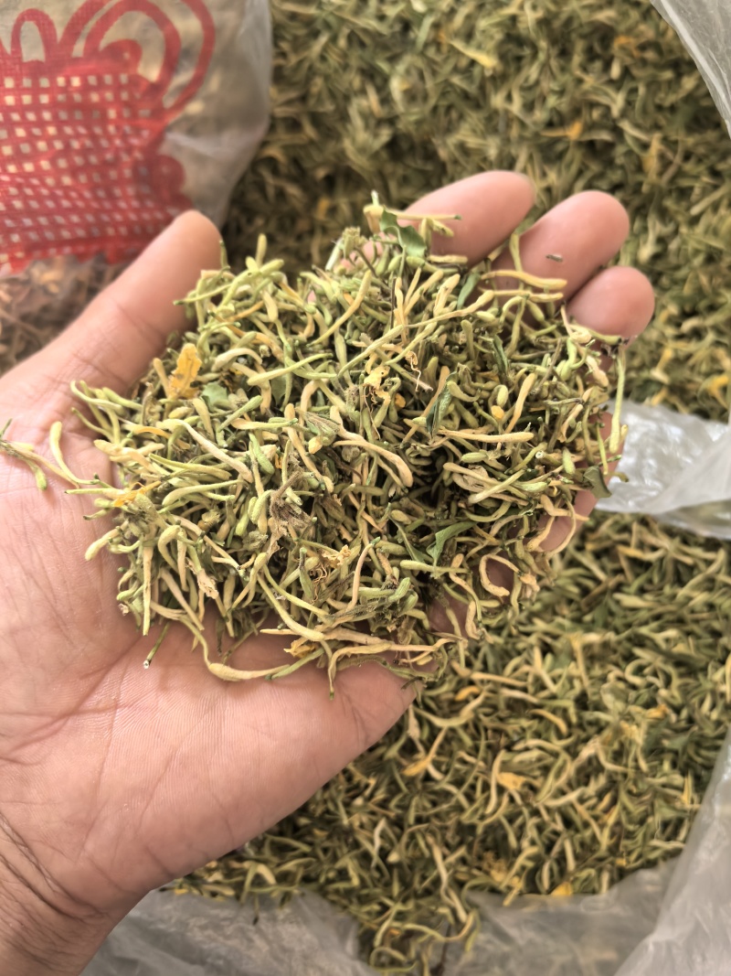 秦岭野生金银花