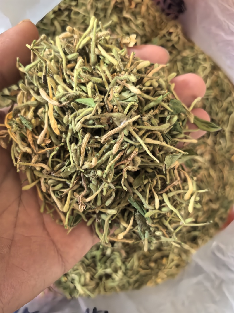 秦岭野生金银花