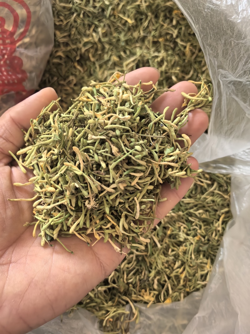 秦岭野生金银花