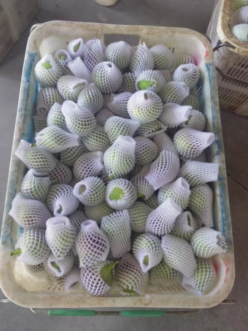 昆明基地直发常年有货品质保证欢迎对接洽谈！