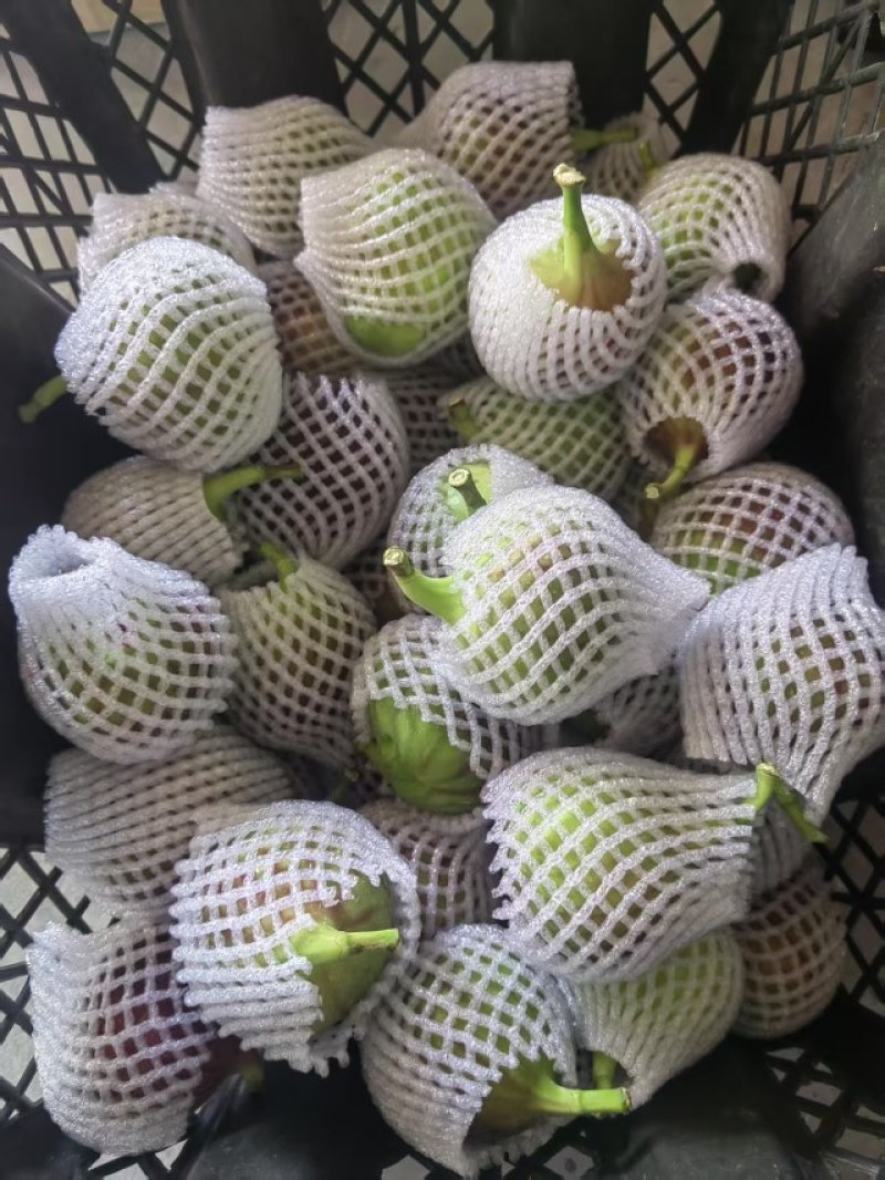 昆明基地直发常年有货品质保证欢迎对接洽谈！