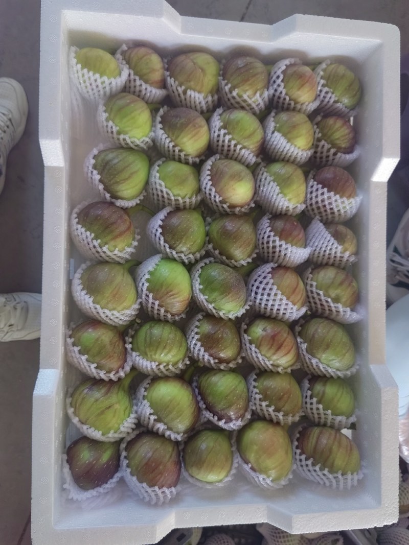昆明基地直发常年有货品质保证欢迎对接洽谈！