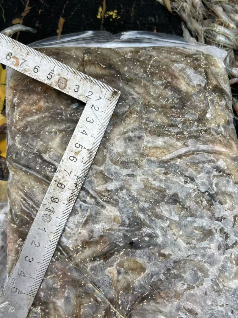 速冻河虾水库淡水虾价格实惠欢迎联系品质好联系下