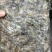 速冻河虾水库淡水虾价格实惠欢迎联系品质好联系下
