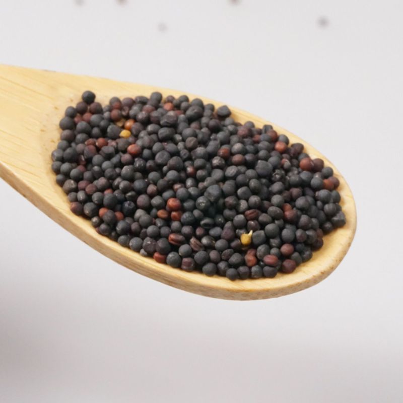 油菜籽[黑色]货源充足量大从优质量保证欢迎咨询